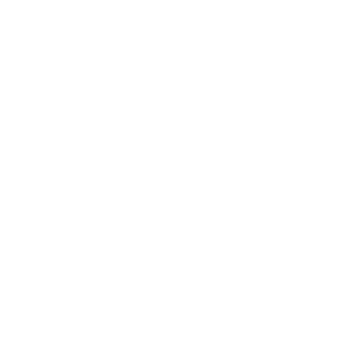 Agility Icon