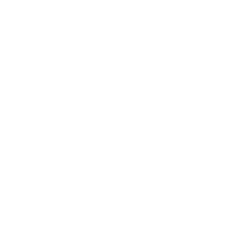 Efficiency Icon