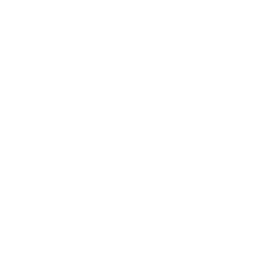 Integrity Icon