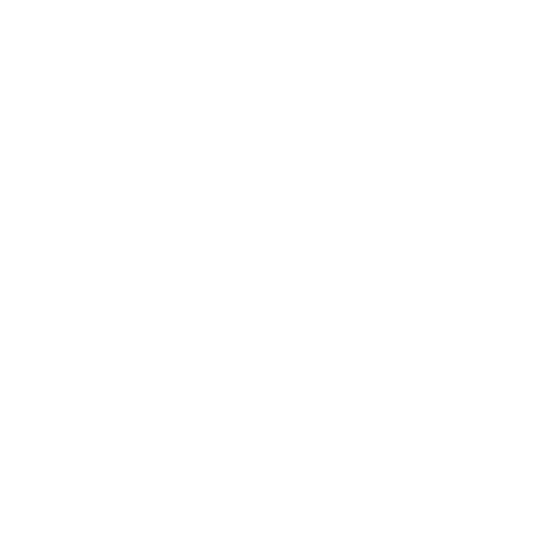 Customization Icon