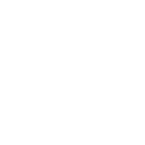 Experience Icon